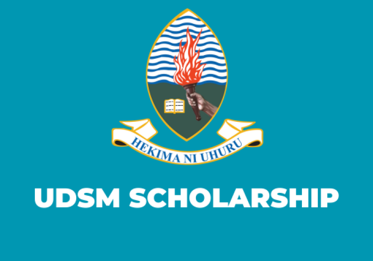 MSc Scholarship Opportunities at University of Dar es Salaam 2025/2026