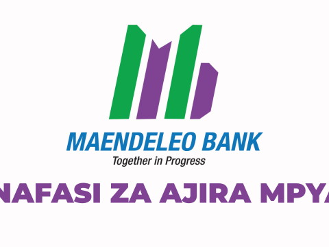 Maendeleo Bank Plc Vacancies 2025