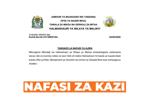 Malinyi District Council Vacancies 2026