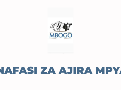 Mbogo Tanzania Limited Vacancies 2025