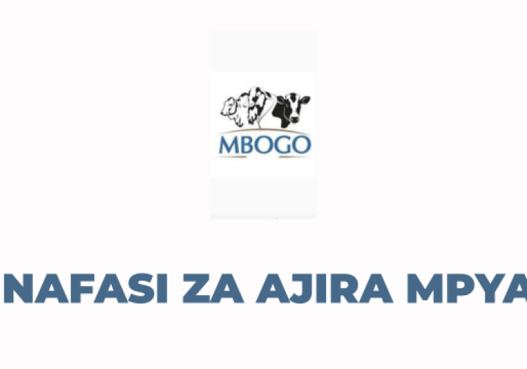 Mbogo Tanzania Limited Vacancies 2025