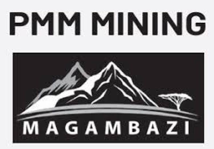 Mine Manager at PMM Mining Company Limited – January 2026