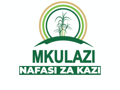 Mkulazi Holding Company Limited Vacancies 2026