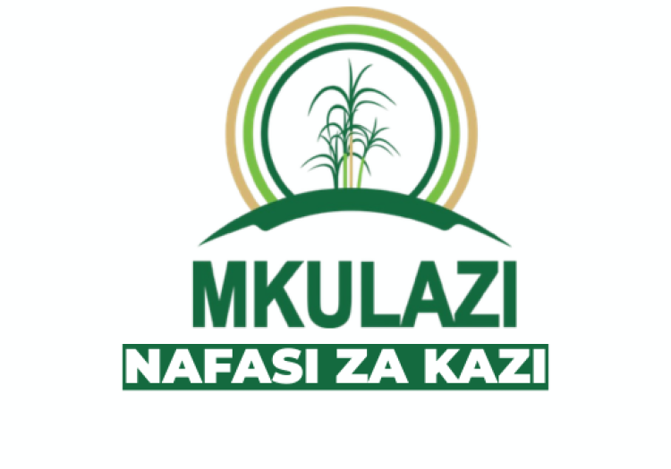 Mkulazi Holding Company Limited Vacancies 2026