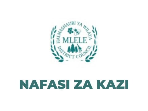 Mlele District Council Vacancies 2025