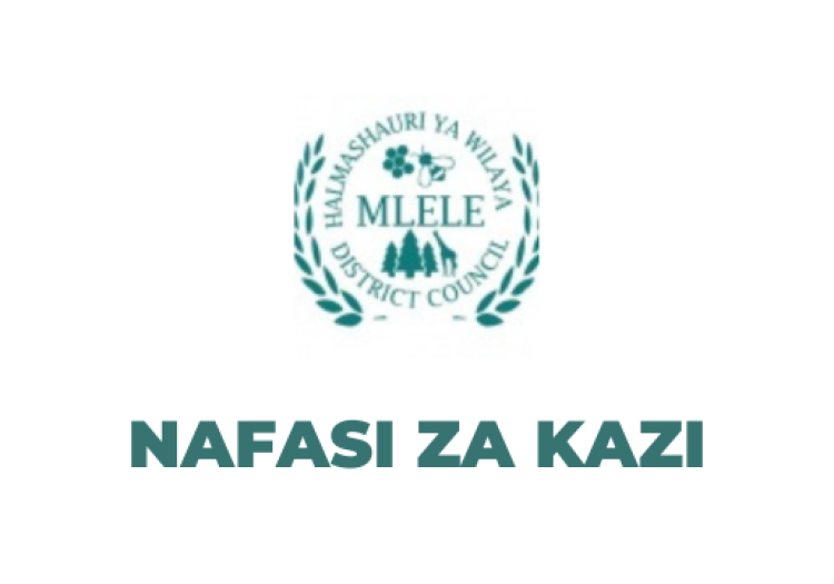 Mlele District Council Vacancies 2025