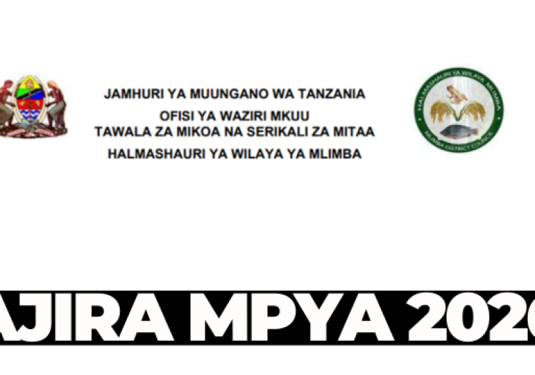 Mlimba District Council Vacancies 2026