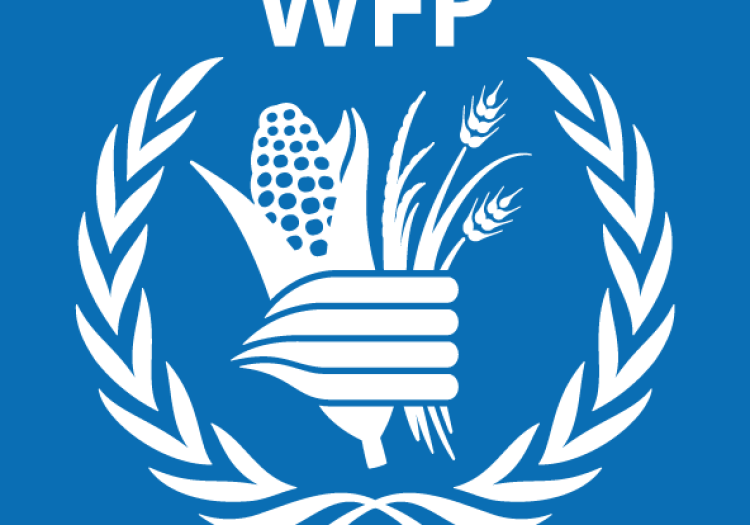 Monitoring Assistant, G5, FT at WFP January 2026
