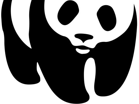 Monitoring and Evaluation Officer at WWF February 2026