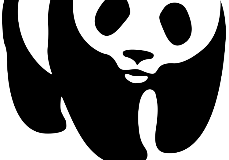 Monitoring and Evaluation Officer at WWF February 2026