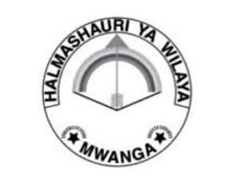 Mwanga District Council Vacancies 2025
