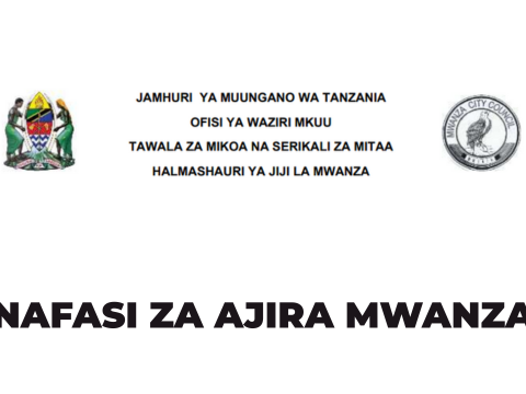 Mwanza Town Council Vacancies 2025