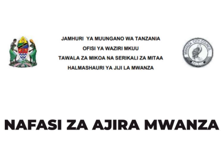 Mwanza Town Council Vacancies 2025