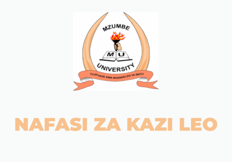 Mzumbe University Vacancies 2025