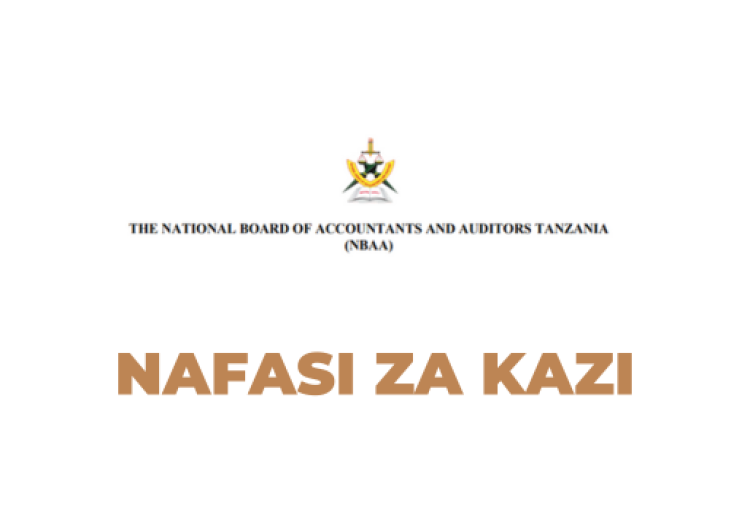 NBAA Tanzania Vacancies 2025