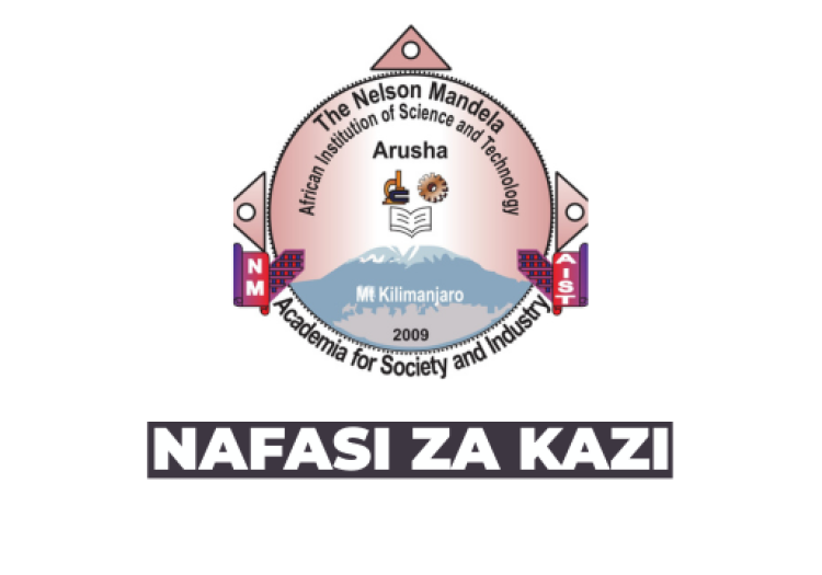 NM-AIST Academic Vacancies 2026