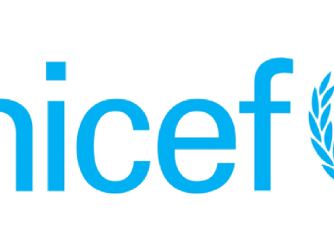 National Individual Consultant – Health Advocacy and Coordination at UNICEF February 2026