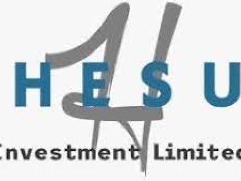 Network And Database Engineer at Hesu Investment Ltd January 2026