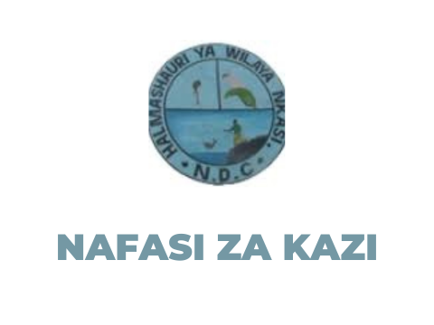 Nkasi District Council Vacancies 2025