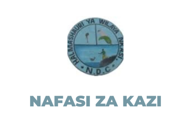 Nkasi District Council Vacancies 2025