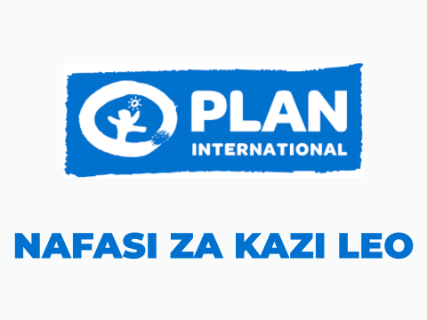 Plan International Vacancies 2025