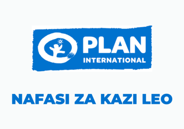 Plan International Vacancies 2025