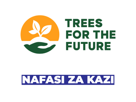 Procurement Coordinator Job at Trees for the Future (TREES) – Tanzania
