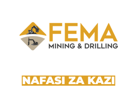 Procurement and Logistics Officer Job Opportunity at Fema Mining and Drilling Limited