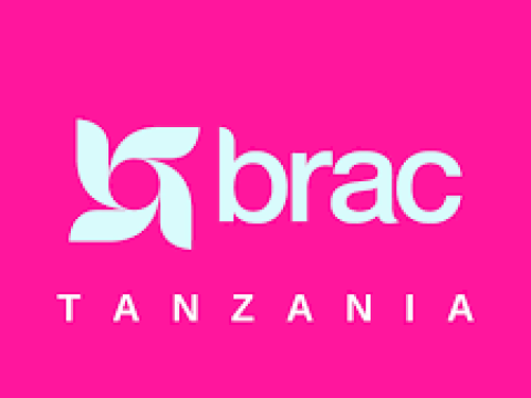 Program  Assistant – ECD (3) at BRAC January 2026