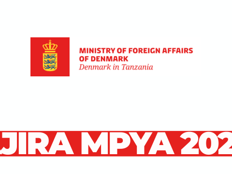 Programme Officers (Health & Revenue/Tax) – Royal Danish Embassy Tanzania – March 2026