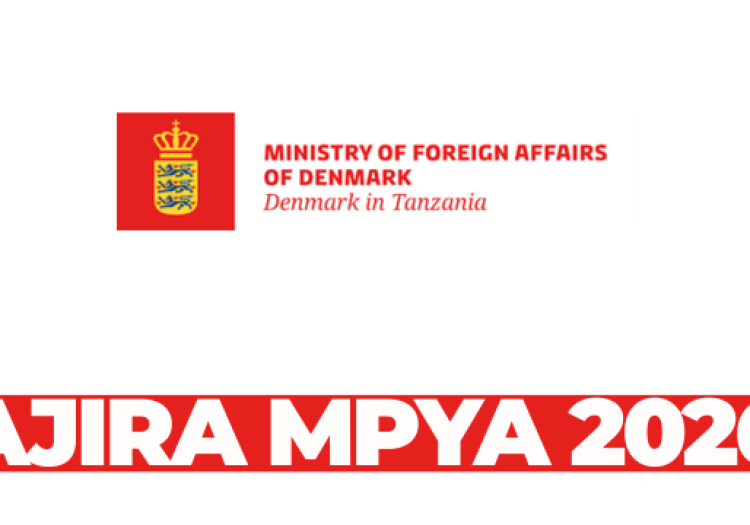 Programme Officers (Health & Revenue/Tax) – Royal Danish Embassy Tanzania – March 2026