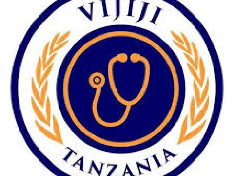 Project Physiotherapist at Vijiji Tanzania February 2026