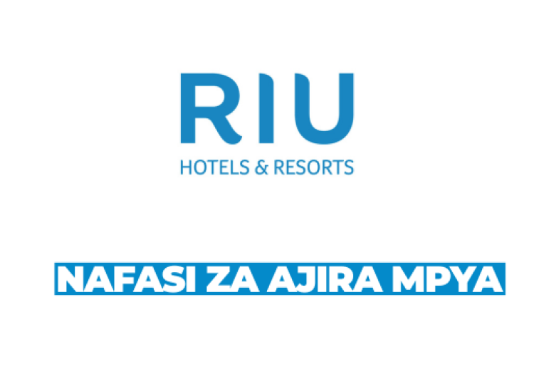 Sales Executive at RIU Hotels & Resorts February 2026