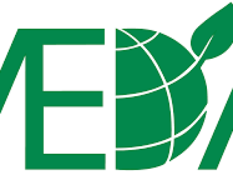Regional People & Culture Lead at MEDA February 2026