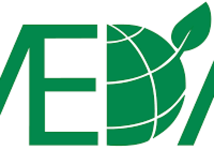Regional People & Culture Lead at MEDA February 2026
