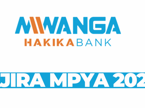Relationship Manager - Corporate (Dar es Salaam) - March 2026