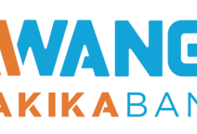 Relationship Manager - SMEs and Retail (Dar es Salaam) at Mwanga Hakika Bank Limited