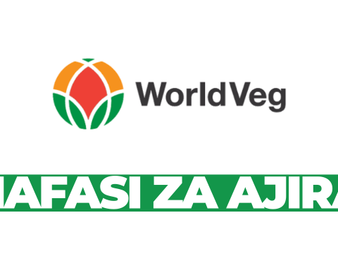 Research Fellow – Data Analyst Job at World Vegetable Center February 2026