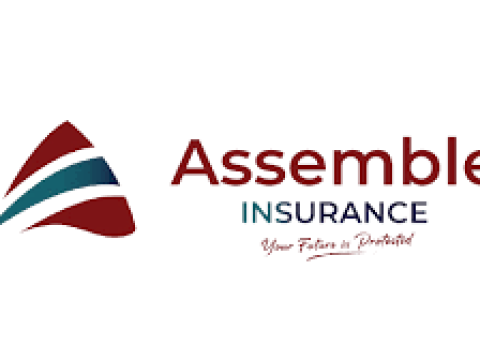 Sales Executives and Underwriting Manager Jobs at Assemble Insurance – March 2026