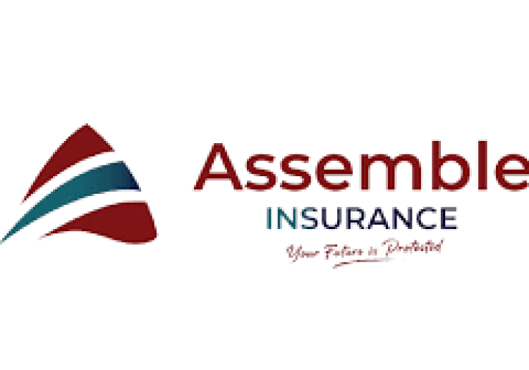 Sales Executives and Underwriting Manager Jobs at Assemble Insurance – March 2026