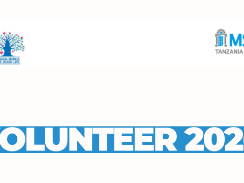 Sales Reconciliation Officer (Volunteer) – MSI Tanzania