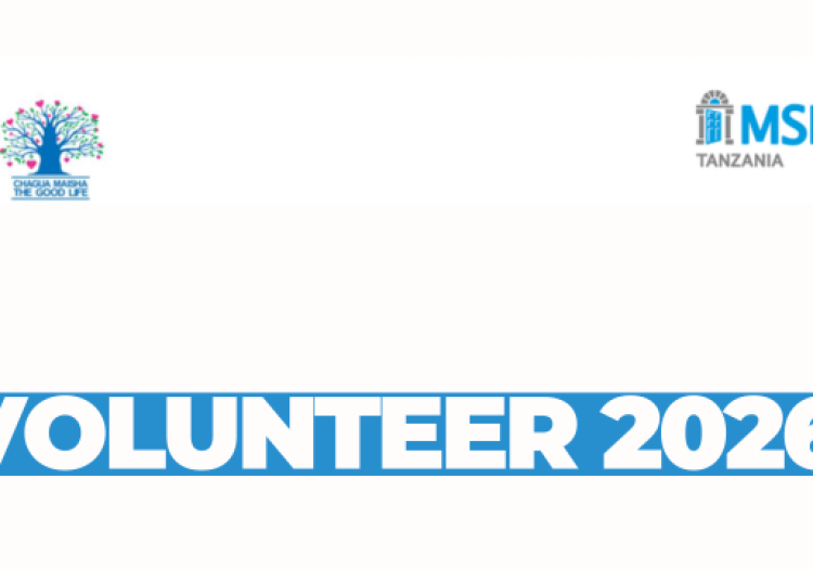 Sales Reconciliation Officer (Volunteer) – MSI Tanzania