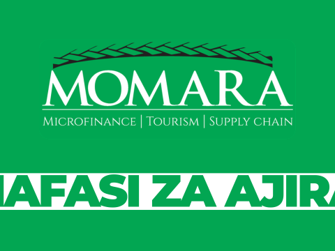 Sales and Marketing Executive – Car Rental Services at Momara February 2026