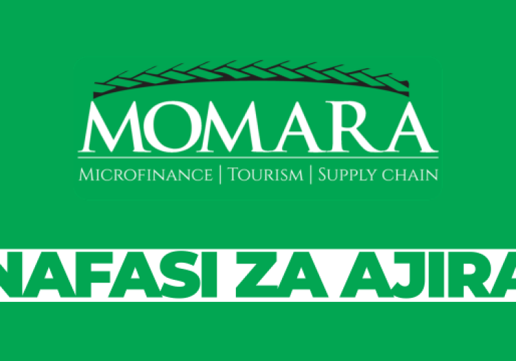 Sales and Marketing Executive – Car Rental Services at Momara February 2026