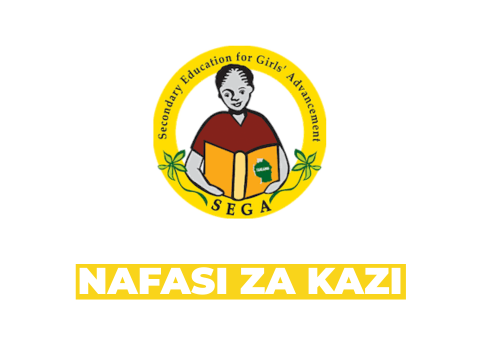 Secondary Education for Girls Advancement (SEGA) Vacancies 2026