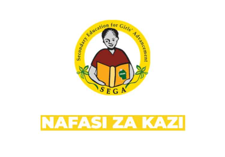 Secondary Education for Girls Advancement (SEGA) Vacancies 2026
