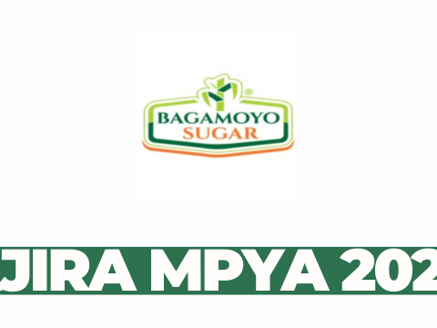 Security Supervisor Job at Bagamoyo Sugar Limited – March 2026