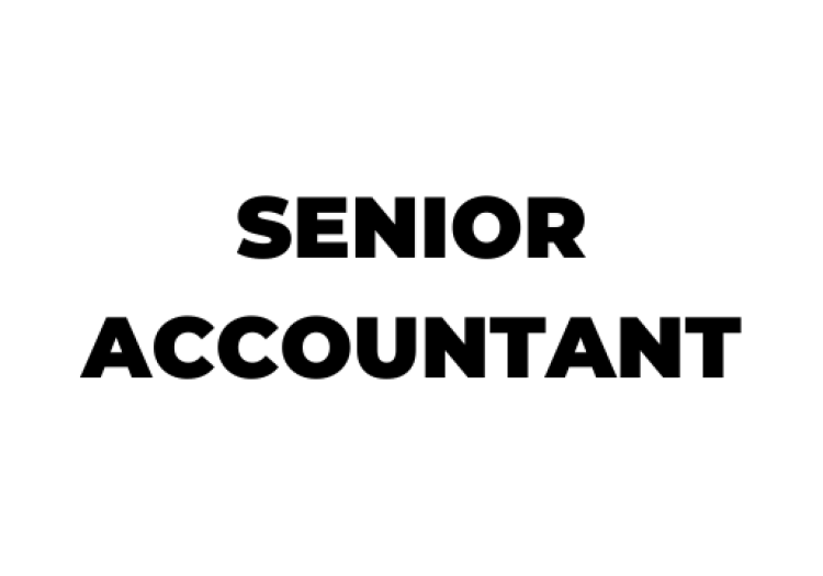 Senior Accountant Jobs Description