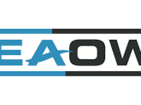 Senior Accountant at SeaOwl January 2026