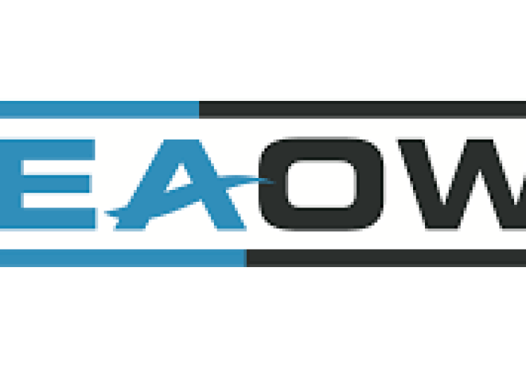 Senior Accountant at SeaOwl January 2026
